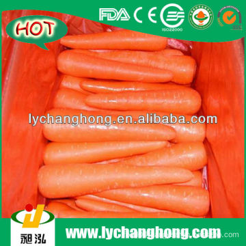 China Fresh Carrot